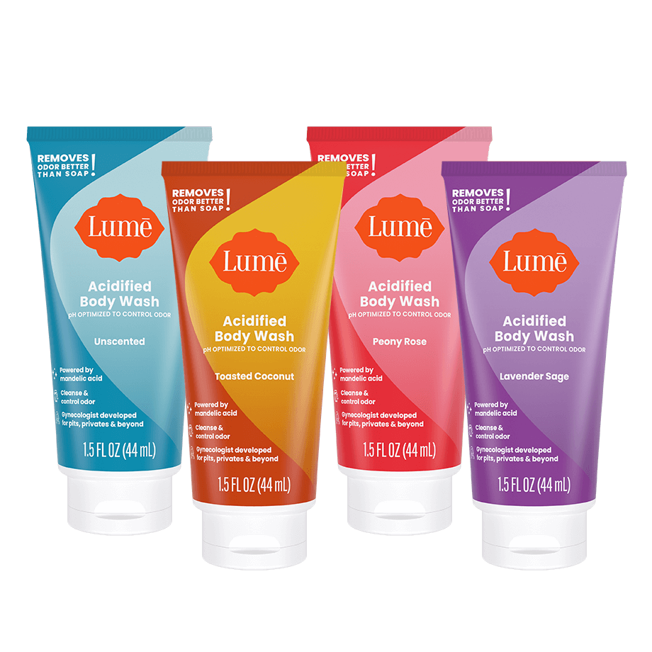 Sudsy Sampler 4-Pack